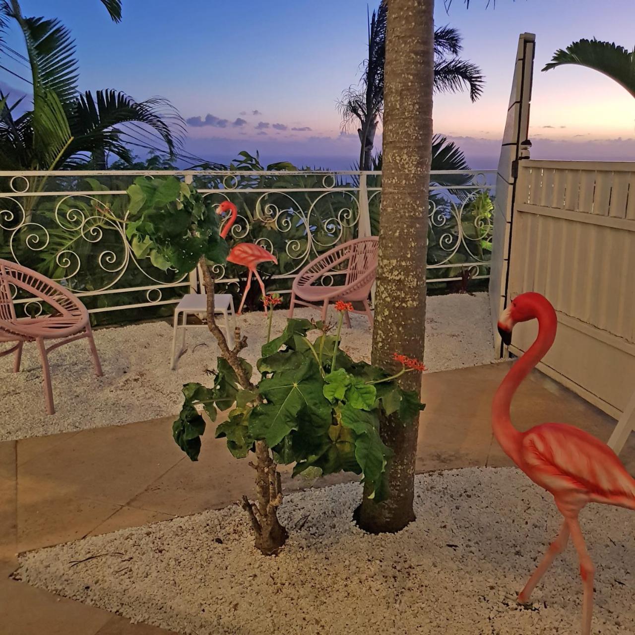 La Boheme, Residence De 5 Appartements Avec Piscine, Vue Ocean, Petite Ile Exterior photo